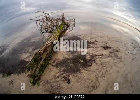 Blick auf die Küste an einem Wintertag mit einer Fischaugenlinse Stockfoto