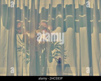 Sonnenlicht hinter einem Schlafzimmerfenster mit einer Blumenvase und Netzvorhängen - Hauptfenster Sommer Hintergrund Stockfoto