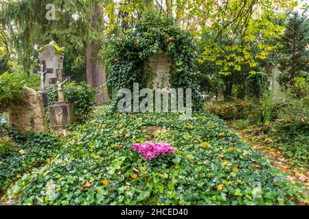 Albert Speer Grab in Heidelberg, Deutschland Stockfoto