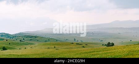 Grüne Wiesen mit Wildblumen im Durmitor Nationalpark im Norden Montenegros Stockfoto