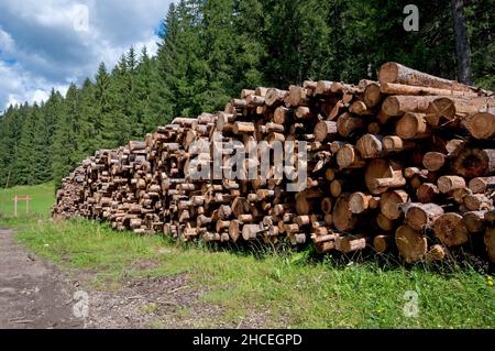 Gestapelte Baumstämme in Fassatal, Trient, Trentino-Südtirol, Italien Stockfoto