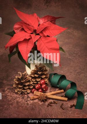 Rote Weihnachtsstern mit Gewürzen und grünem Band, weihnachtliche Tischdekoration Stockfoto