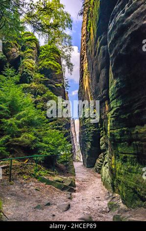 Wanderweg entlang und zwischen den Prachov Felsen (Prachovske Skaly), Böhmisches Paradies (Cesky Raj), Kralovehradecky kraj, Tschechische Republik. Stockfoto