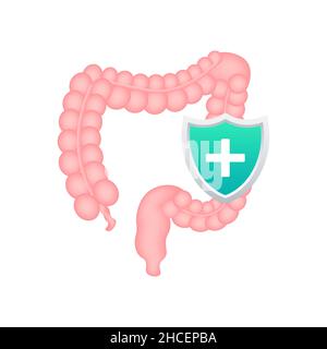 Darmschutz, gesund geschützter Darm. Schutz des Verdauungssystems. Vektorgrafik. Stock Vektor