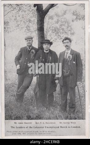 'Die Führer der Leicester-Arbeitslosen marschieren nach London', 1905 - Amos Sherriff, Rev. F.L. Donaldson und George White. Am 4. Juni 1905 marschierten 497 arbeitslose Männer aus Leicester nach London, um gegen die hohe Arbeitslosigkeit während des wirtschaftlichen Einbruchs nach dem Burenkrieg zu protestieren. Dieses Foto wurde am 12. Juni 1905 auf Hampstead Heath aufgenommen, bevor sie nach Leicester zurückkehrten Stockfoto