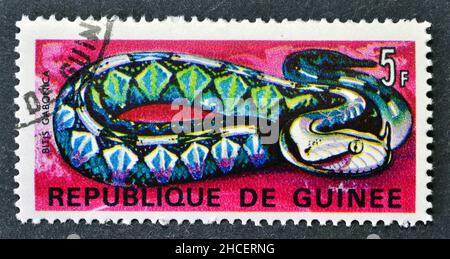 Abgesagte Briefmarke gedruckt von Guinea, die Gaboon Viper (Bitis gabonica) zeigt, um 1967. Stockfoto