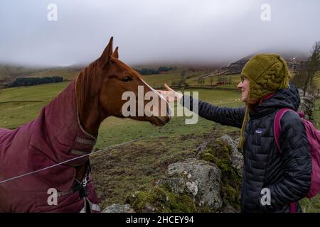 Eine Frau streichelt ein Pferd auf seinem Gesicht Stockfoto