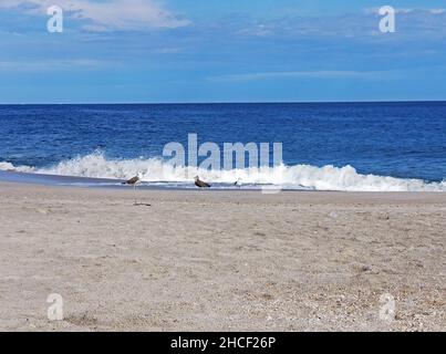 Die Wellen schlagen in Point Pleasant, New Jersey, an einem sonnigen frühen Herbsttag -01 in einen leeren Strand, mit Ausnahme einiger Möwen Stockfoto