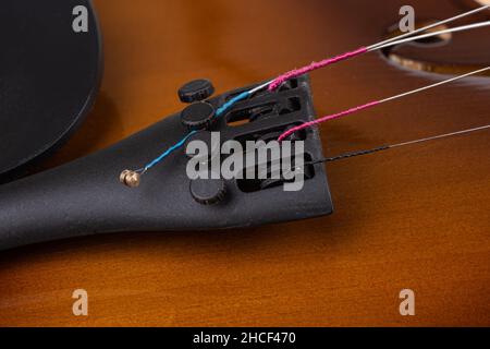 Lose Geigensaite an der Seite der Stimmschrauben. Nahaufnahme. Stockfoto