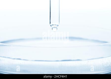 Medizinkonzept. Petrischale und Pipette, die transparente Flüssigkeit darüber mit Platz für Kopien fallen lassen. Analyse, Ausrüstung für chemische Experimente. Blauer Verlauf Stockfoto