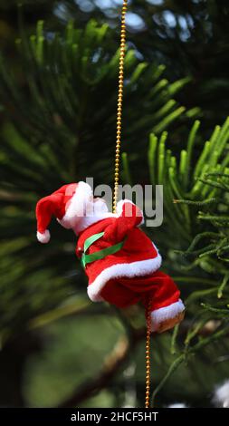 Kleine Dekorative Weihnachtsmann-Puppe, Die Den Weihnachtsbaum Überreicht Stockfoto