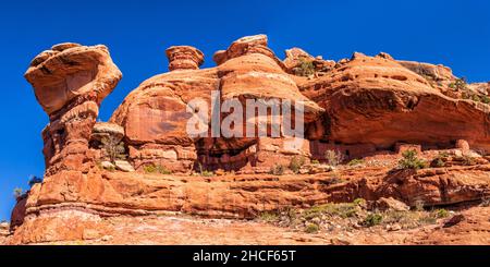 Eine Panoramaaufnahme der Cliff Dwellings des Moon House von unten auf Cedar Mesa im Bears Ears National Monument, Utah. Stockfoto