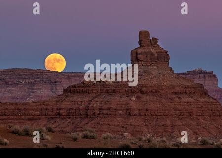 Ein Vollmond im Oktober steigt über den Buttes im Valley of the Gods, Bears Ears National Monument, Utah. Stockfoto