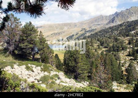 Eine schöne Aussicht auf den Nationalpark Pirin im Südwesten Bulgariens Stockfoto