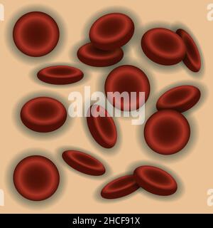 Erythrozyten: Rote Blutkörperchen, Vektorgrafik Stock Vektor