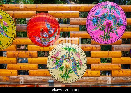 Die bunten Pfauenbäume auf den blühenden Bäumen schmücken die Papierschirme, die am Holzzaun, Gate Market, Chiang Mai, Thailand, hängen Stockfoto