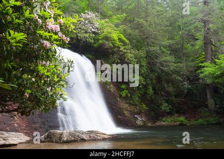 Silver Run Falls im Nantahala National Forest Stockfoto