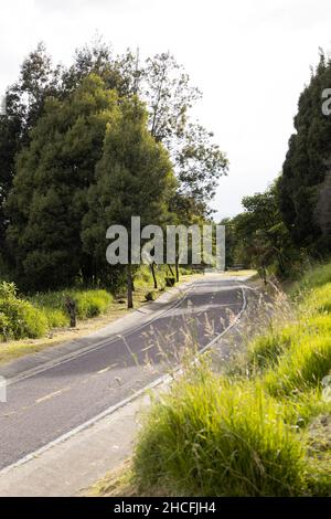 Leere Asphaltstraße, an einem sonnigen Tag von der Natur umgeben, Reisen Sie im Urlaub Stockfoto