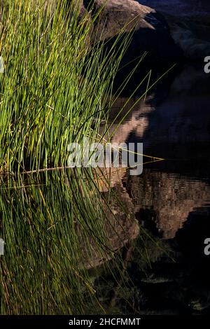 Bear Gulch Reservoir, erbaut vom CCC, im Pinnacles National Park, Kalifornien, USA Stockfoto