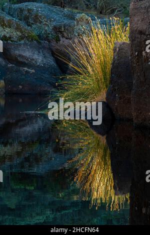 Bear Gulch Reservoir, erbaut vom CCC, im Pinnacles National Park, Kalifornien, USA Stockfoto