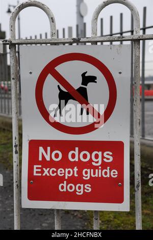 Keine Hunde außer Blindenhunde in Großbritannien. Rot-weißes Schild auf weißem Geländer. Stockfoto