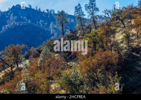 Chaparral im Spätherbst vom Condor Gulch Trail im Pinnacles National Park, Kalifornien, USA aus gesehen Stockfoto