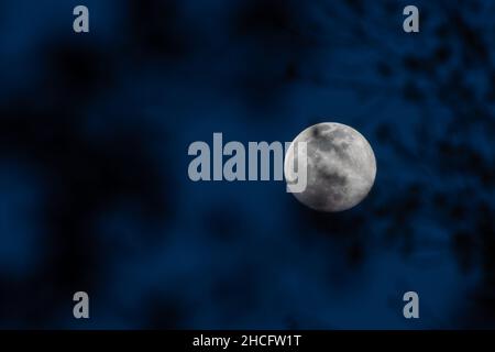 Vollmond am dunklen Nachthimmel mit blauen Schattierungen Stockfoto