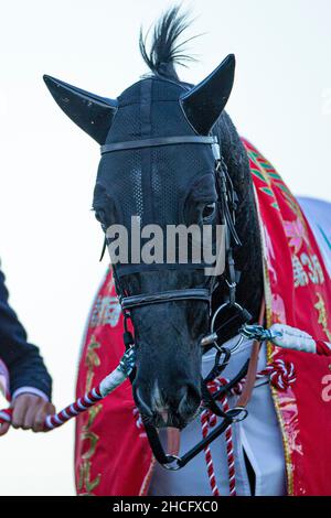 Funabashi, Chiba, USA. 28th Dez 2021. 28. Dezember 2021: Killer-Fähigkeit, geritten von Takeshi Yokoyama, gewinnt am 28th. Dezember 2021 in Funabashi, Chiba, Japan, die hoffnungsvollen Einsätze auf der Nakayama Racecourse. Kaz Ishida/Eclipse Sportswire/CSM/Alamy Live News Stockfoto