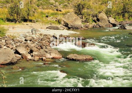 Ein stürmischer Fluss mit klarem türkisfarbenem Wasser, der sich um große Steine herum biegt, fließt am Grund einer tiefen Schlucht entlang. Fluss Chulyschman, Altai, Sibirien, Ru Stockfoto