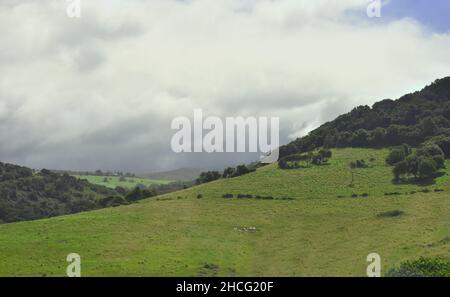 Felder und Weideland auf den sanften Hügeln des Kangaroo Valley, NSW, Australien Stockfoto