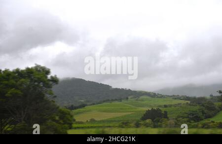 Felder und Weideland auf den sanften Hügeln des Kangaroo Valley, NSW, Australien Stockfoto