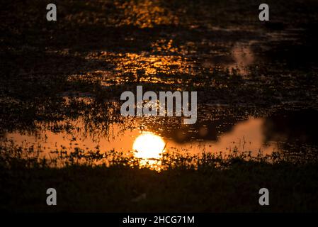 Schöner Sonnenuntergang vor purpurem Himmel auf dem Wasser Stockfoto