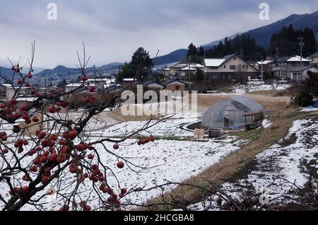 iida, nagano, japan, 2021-29-12 , Blick auf die schneebedeckten Eriefelder im Winter 2021 in der Stadt Iida. Stockfoto