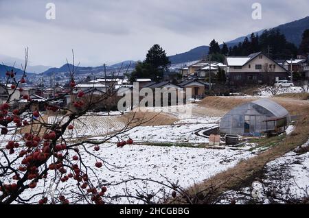 iida, nagano, japan, 2021-29-12 , Blick auf die schneebedeckten Eriefelder im Winter 2021 in der Stadt Iida. Stockfoto