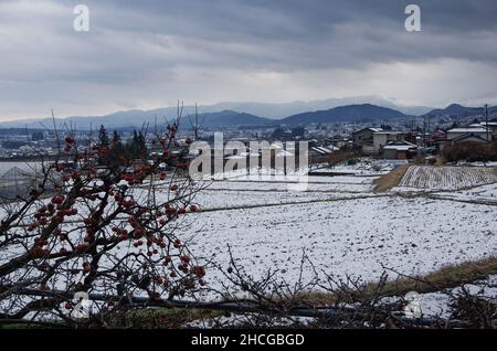 iida, nagano, japan, 2021-29-12 , Blick auf die schneebedeckten Eriefelder im Winter 2021 in der Stadt Iida. Stockfoto