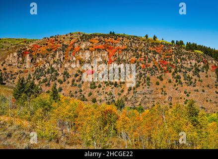 Elk Valley, Danish Dugway Area, Blick von der Bear Lake Road (FR054), in der Nähe von Hardware Ranch, Wasatch Range, Uinta Wasatch Cache National Forest, Utah, USA Stockfoto