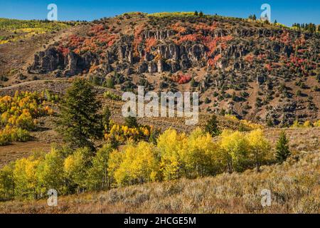 Elk Valley, Danish Dugway Area, Blick von der Bear Lake Road (FR054), in der Nähe von Hardware Ranch, Wasatch Range, Uinta Wasatch Cache National Forest, Utah, USA Stockfoto