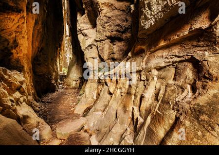 Tunnel durch eine Sandsteinklippe, die zum Amphitheater im Carnarvon Nationalpark führt. Stockfoto