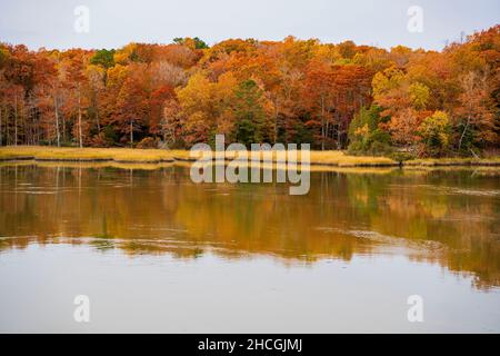 Landschaftsansicht auf einen See und bunte Felder im Herbst Stockfoto