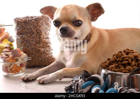 Hintergrund mit verschiedenen Arten von Trockenfutter zur Fütterung des Hundes und chihuahua auf dem Tisch. Vorderansicht. Horizontale Zusammensetzung. Stockfoto