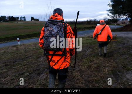 Lauragais, Frankreich. 29th Dez 2021. Wildschweinjagd dieser französische Jagdhund mit blauem Fell wird mit einem Rudel Grand Bleu de Gascogne-Hunden am 29. Dezember 2021 vor allem zum Schießen oder zur Großwildjagd in Lauragais, Aude, Frankreich, verwendet. Foto JMP/ABACAPRESS.COM Quelle: Abaca Press/Alamy Live News Stockfoto