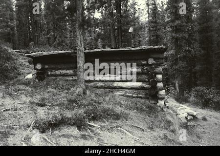 Eine schwarz-weiße Aufnahme einer Holzforsthütte in der Tiefe des Taiga-Waldes; ein Holzklotz eines Waldwächters in einem Dickicht einer Nadelholzforstwirtschaft; A Stockfoto