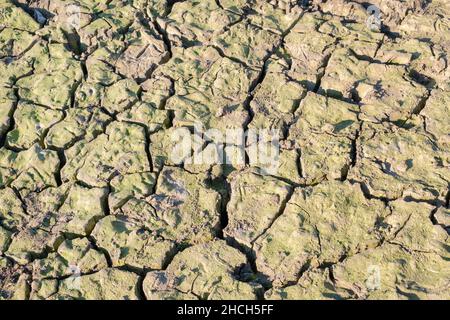 Trockenes Flussbett, leeres trockenes Flussbett mit rissem Boden, Konzept der globalen Erwärmung, flache Wüstenlandschaft, ausgetrocknetes Reservoir, karge Erde Stockfoto