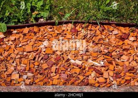 Nadelholz-Mulch auf der Gartenrasen. Schönes Landschaftsdesign mit Holzspänen auf dem Gartenbett, das von Sonnenlicht in der Nähe von grünem Gras und Steinkrümmchen beleuchtet wird Stockfoto