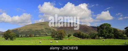 Sommerblick über den Blencathra Fell, in der Nähe des Dorfes Threlkeld, Lake District National Park, Cumbria, England, Großbritannien Stockfoto