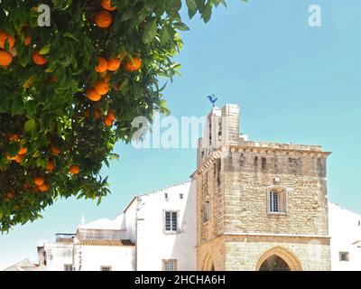 Schöne Kathedrale von Faro, interessante Architektur an der Algarve Küste von Portugal Stockfoto