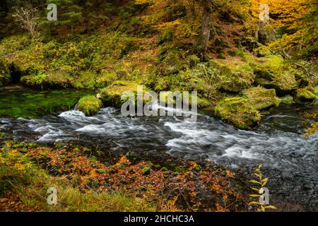 Wanderung durch die Kamnitzklamm im Herbst Stockfoto