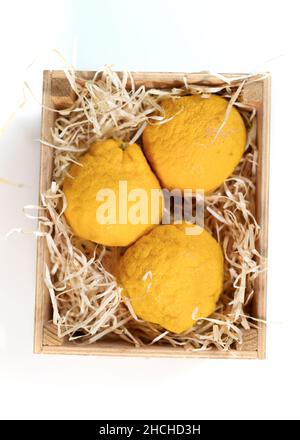 Drei gelbe Yuzu-Zitrusfrüchte in einer Holzkiste mit Holzspalten. Draufsicht. Stockfoto