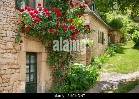 Wunderschönes altes französisches Steinhaus und Garten mit roten Rosen, die um den Eingang wachsen Stockfoto