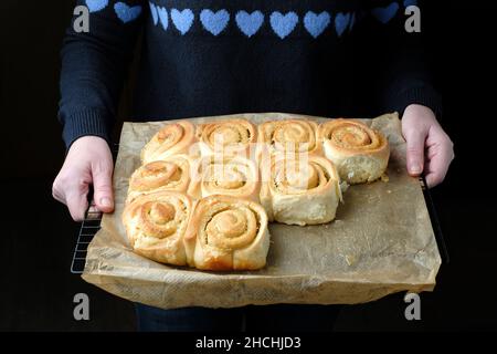 Ein Tablett mit frisch gebackenen, hausgemachten, zitronengewirbelten Chelsea-Brötchen. Die Brötchen sind immer noch wie gebacken und nicht auf Backpapier getrennt Stockfoto